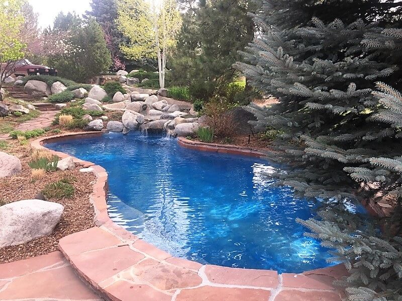 organic pool environments | Wetworks Pool and Spa